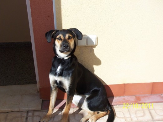 Tomando el sol en la terraza